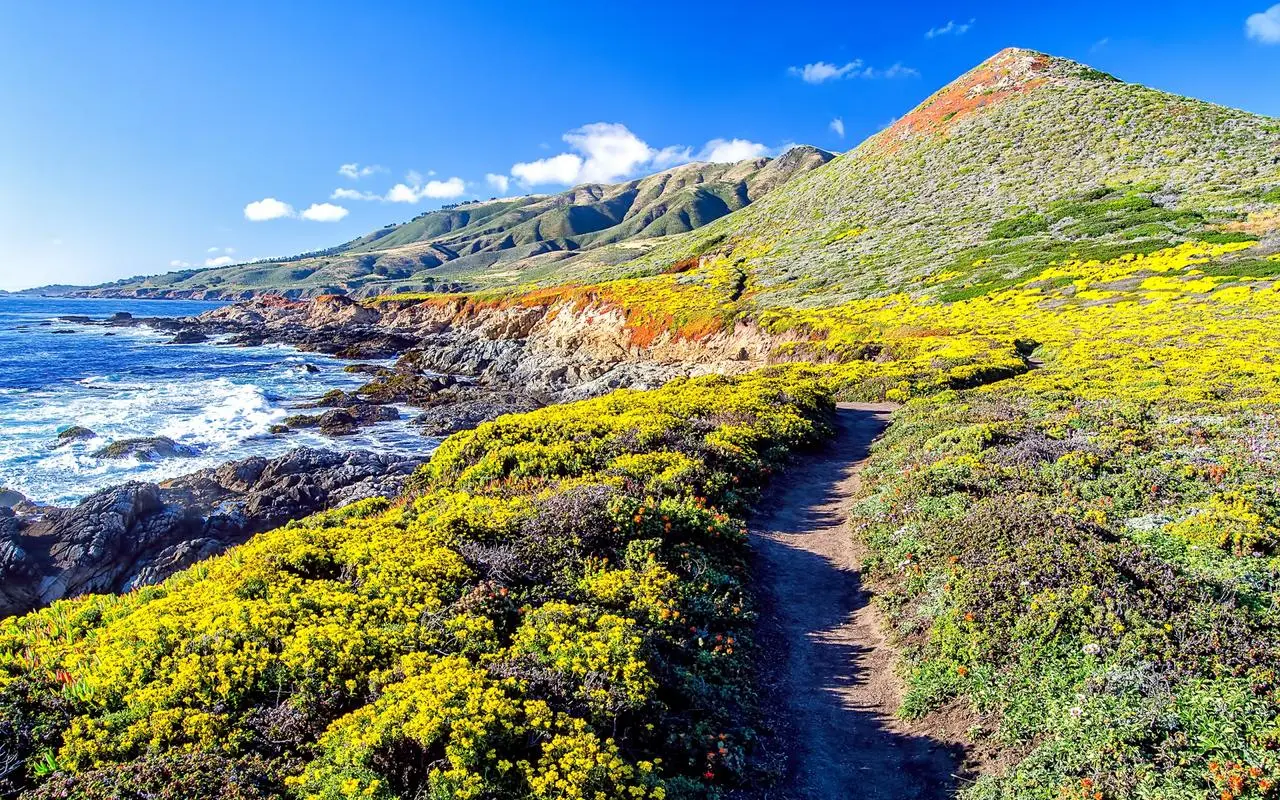信息化高精度